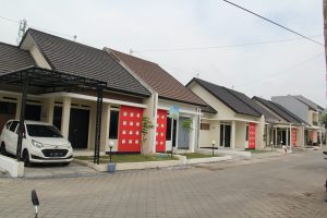 asoka1.jpg